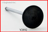 Intake Valve - 1995 Pontiac Sunfire 2.2L (V2892.B17)