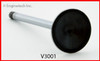 Exhaust Valve - 2001 Ford Mustang 3.8L (V3001.D35)