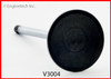 Intake Valve - 1999 Ford Windstar 3.8L (V3004.B17)