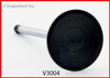 Intake Valve - 2004 Ford Freestar 4.2L (V3004.E44)