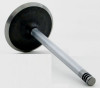 Intake Valve - 2004 Dodge Ram 1500 5.7L (V3012.A5)