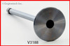 Intake Valve - 1997 Ford E-350 Econoline Club Wagon 7.3L (V3188.B12)