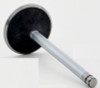 Intake Valve - 1998 Buick LeSabre 3.8L (V3214.D40)