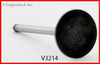 Intake Valve - 1999 Buick LeSabre 3.8L (V3214.F59)