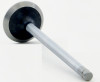 Exhaust Valve - 1998 Buick Skylark 2.4L (V3441.B12)