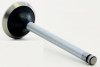 Exhaust Valve - 2004 Buick Century 3.1L (V3543.I84)