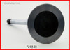 Intake Valve - 2002 Dodge Caravan 3.3L (V4348.B20)