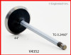 Intake Valve - 2004 Chevrolet Colorado 3.5L (V4352.B15)