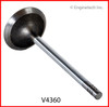 Intake Valve - 2001 Mazda B3000 3.0L (V4360.B13)