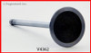 Intake Valve - 2009 Buick Lucerne 4.6L (V4362.G66)