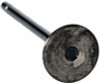 Intake Valve - 2001 Chevrolet Silverado 3500 6.6L (V4364.A3)