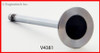 Exhaust Valve - 2012 Buick Regal 2.4L (V4381.K105)