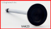 Exhaust Valve - 2011 GMC Canyon 3.7L (V4423.E48)