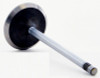 Intake Valve - 2006 Buick Rainier 4.2L (V4424.A1)
