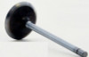 Intake Valve - 2009 Cadillac SRX 3.6L (V4432.C24)