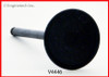 Intake Valve - 2000 Lincoln LS 3.0L (V4446.A2)