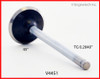 Exhaust Valve - 2014 Chevrolet Caprice 6.0L (V4451.K228)