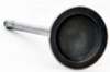 Intake Valve - 2012 Ford F-150 5.0L (V4462.A3)