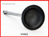 Intake Valve - 2014 Ford Mustang 5.0L (V4462.A8)