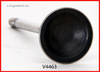 Exhaust Valve - 2012 Ford Mustang 5.0L (V4463.A4)