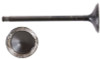 Exhaust Valve - 2010 Ford F-150 6.2L (V4495.A1)
