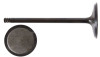 Intake Valve - 2011 Ford F-150 6.2L (V4496.A2)