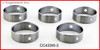 Camshaft Bearing Set - 2008 Chevrolet Express 2500 6.0L (CC433W-1.B13)