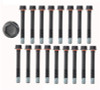 Cylinder Head Bolt Set - 1987 Chevrolet R10 6.2L (HB116.K182)