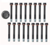 Cylinder Head Bolt Set - 2000 GMC C3500 6.5L (HB116.K648)