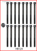 Cylinder Head Bolt Set - 1996 Dodge Caravan 3.3L (HB124.G66)