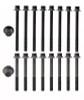 Cylinder Head Bolt Set - 1991 Mazda MPV 3.0L (HB217.A7)