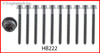 Cylinder Head Bolt Set - 2000 Ford Escort 2.0L (HB222.B20)