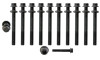 Cylinder Head Bolt Set - 2001 Chevrolet Tracker 2.0L (HB245.A10)