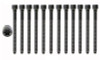 Cylinder Head Bolt Set - 2011 Volkswagen Jetta 2.5L (HB269.D38)