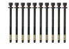 Cylinder Head Bolt Set - 2004 Cadillac SRX 4.6L (HB279.A4)