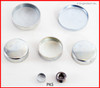 Expansion Plug Kit - 1986 GMC K2500 4.8L (PK5.L1739)