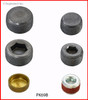 Expansion Plug Kit - 1995 Ford Contour 2.5L (PK69B.A1)