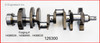 Crankshaft Kit - 2002 GMC Savana 1500 5.0L (126300.K125)