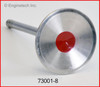 Intake Valve - 1995 Chevrolet C1500 Suburban 5.7L Engine - 73001-8ZE69