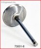 Intake Valve - 1995 Chevrolet C1500 Suburban 5.7L Engine - 73001-8ZE69