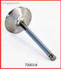 Intake Valve - 1995 Chevrolet C1500 Suburban 5.7L Engine - 73003-8ZE69