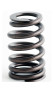 Valve Spring - 2002 Jeep Liberty 3.7L Engine - ERV1612ZE2