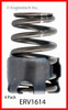 Valve Spring - 2005 Dodge Ram 1500 3.7L Engine - ERV1614ZE3