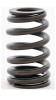 Valve Spring - 2014 Cadillac CTS 6.2L Engine - ERV3598-16ZE561