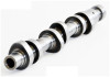 Camshaft - 2009 Dodge Ram 1500 3.7L Engine - ES1892ZE36
