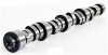 Camshaft - 2007 Chrysler 300 5.7L Engine - ES2065ZE13