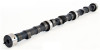 Camshaft - 1996 Jeep Cherokee 4.0L Engine - ES243ZE1
