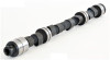 Camshaft - 1986 Mercury Cougar 2.3L Engine - ES666ZE82