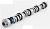 Camshaft - 1987 Ford Mustang 5.0L Engine - ES759ZE28