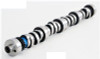 Camshaft - 1987 Lincoln Continental 5.0L Engine - ES759ZE29